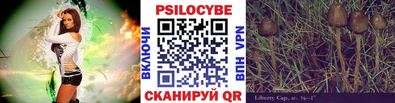 Псилоцибиновые грибы Cubensis  hydra онион  Кола  купить закладку 