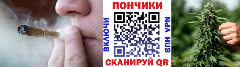 Канабис MAZAR  сколько стоит  Кола 